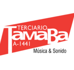 Cantante Profesional