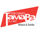 Cantante Profesional