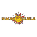 Diseñador Grafico Editorial