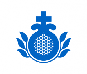Licenciado en Enfermería