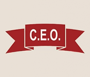 Organizacion de Viajes y Excursiones