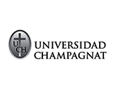 Programador Universitario